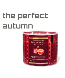 Bath&Body Works • the perfect autumn vela 3 mechas