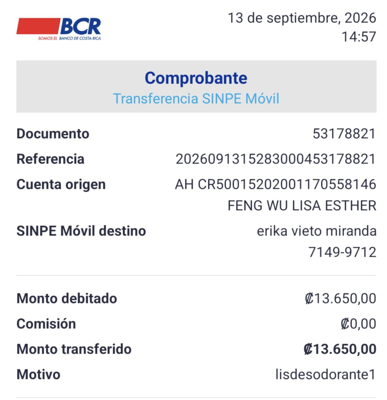 Compra Lisa Feng - Imagen 9